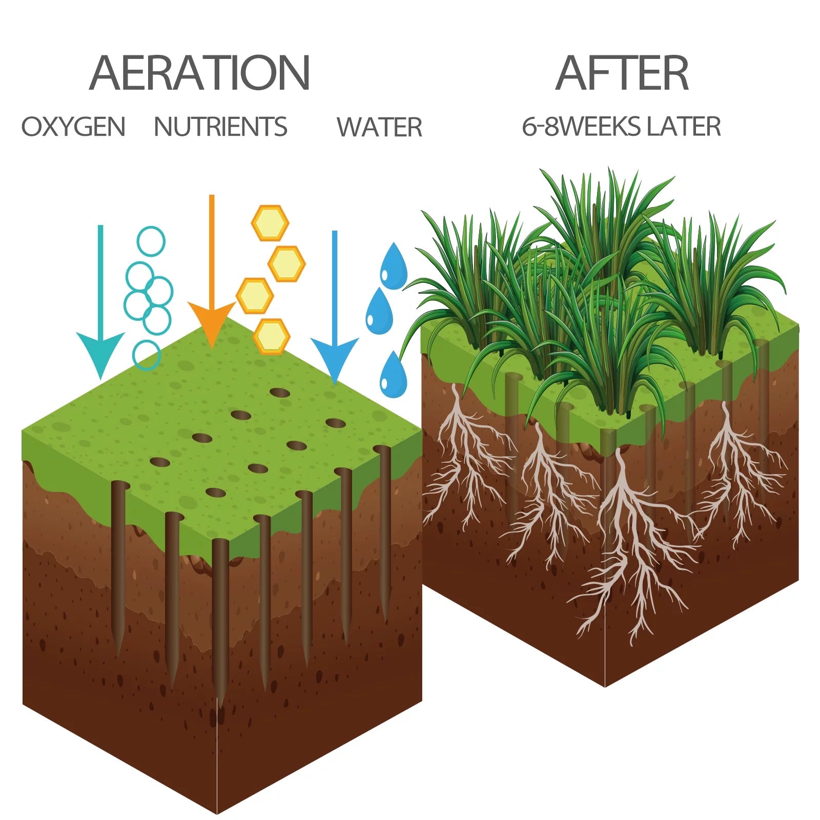 Lawn Spike Aerator with 15 Iron Spikes for Garden