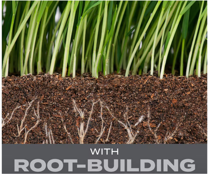 Turf Builder Northeast Mix 16-Lb Mixture/Blend Grass Seed