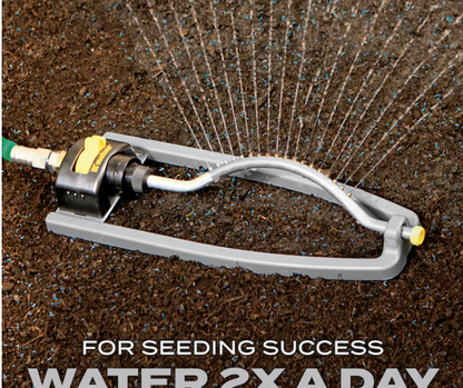 Turf Builder Northeast Mix 16-Lb Mixture/Blend Grass Seed