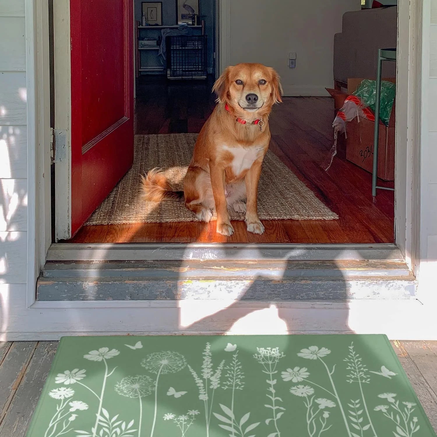 Sage Green Kitchen Mat Rug Set of 2- Plant Floral Butterfly Kitchen Rugs with Runner Kitchen Decor Accessories Things- Leaves Rugs for Home Kitchen Large- 17X24 and 17X48 Inch
